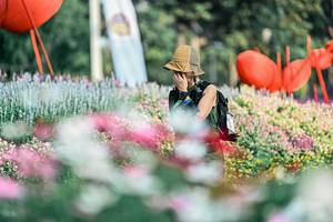 BIB: 
                            <button type="button" onclick="openModal(25932399)" class="btn btn-primary btn-sm float-right btn-popup" data-toggle="modal" data-target=".modal-high-quality">
                        <i class="fas fa-shopping-cart"></i> Add to Cart
                    </button>
                                            <button type="button" onclick="isThisMe(25932399, true)" class="btn btn-success btn-sm float-right btn-popup btn-isme hidden" data-toggle="tooltip" data-placement="bottom" title="นี่คือรูปของคุณใช่ไหม คลิกที่นี่เพื่อเอาเข้าอัลบั้ม">
                        <i class="fas fa-plus"></i> Add to album
                    </button>
                    <button type="button" onclick="isThisMe(25932399, false)" class="btn btn-warning btn-sm float-right btn-popup btn-isnotme hidden">
                        <i class="fas fa-ban"></i> Remove from album
                    </button>